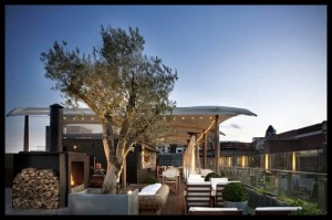 Roof Terrace London garden tree chill