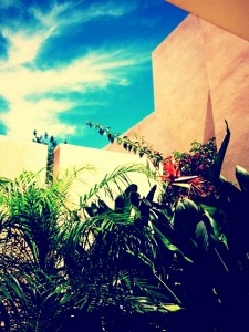 ibiza destination tropical sky view sunshine style