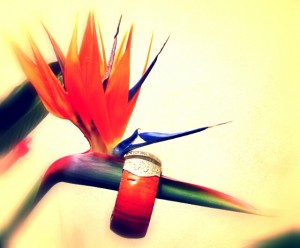 Ibiza bangle, tropical, hippy market, style, fashion