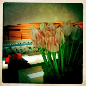 Paris Shopping Sant Germain des Pres Hermes designer concept store