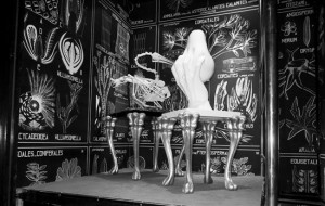 Paris France bar nightlife clubs montana