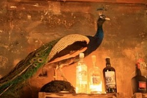 Paris France bar nightlife grazie taxidermy