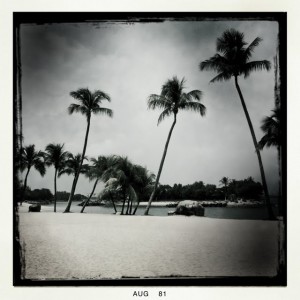 singapore marina view