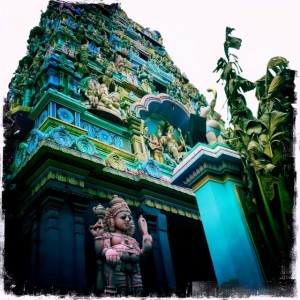 singapore india eating nightlife