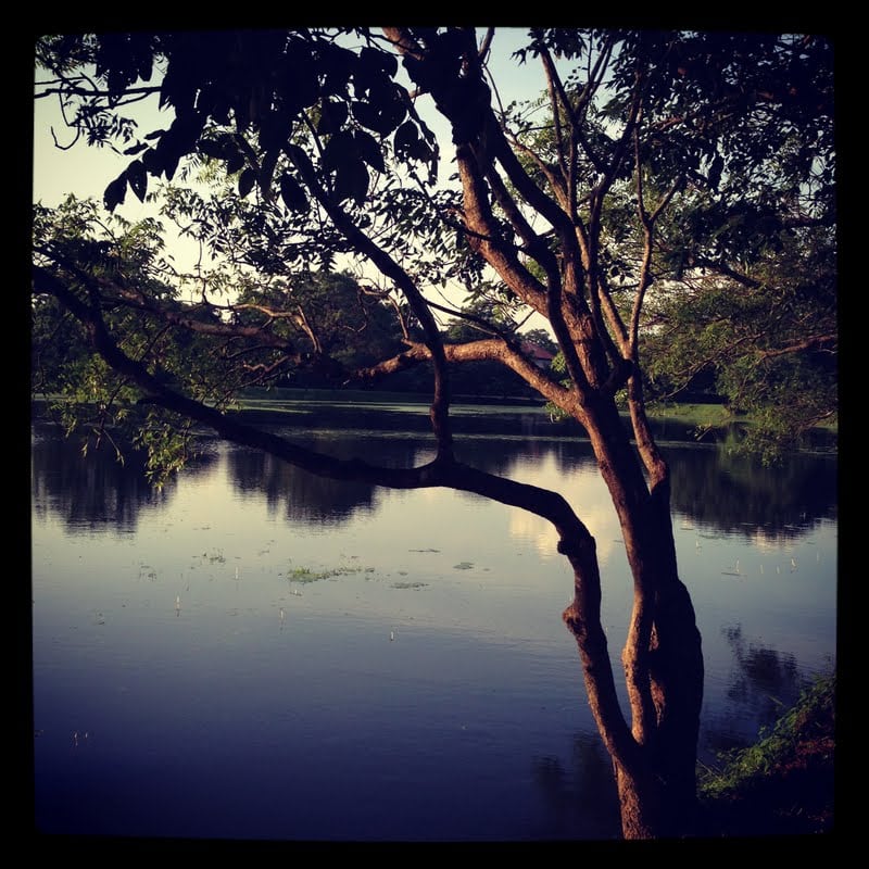 Sri Lanka Sleeping and Hotels