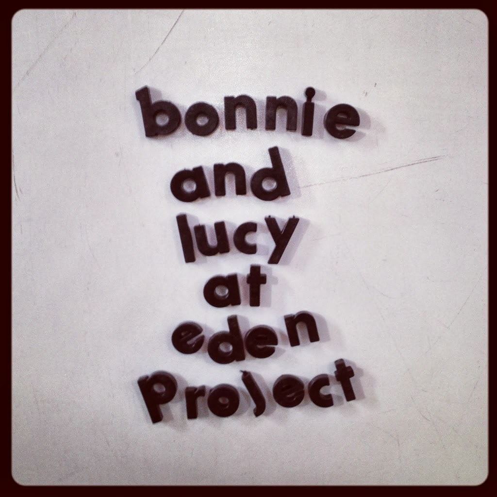 The Eden Project What to do in Cornwall