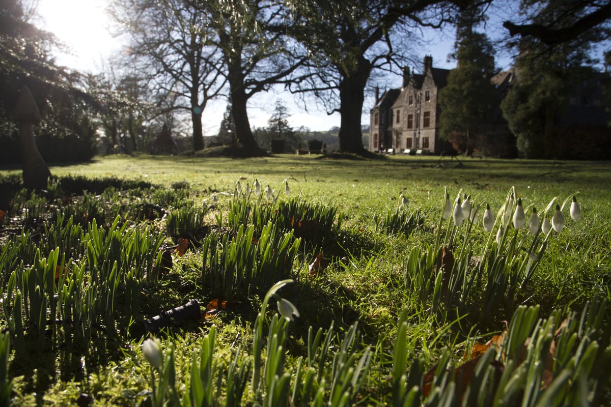 Huntsham Court estate