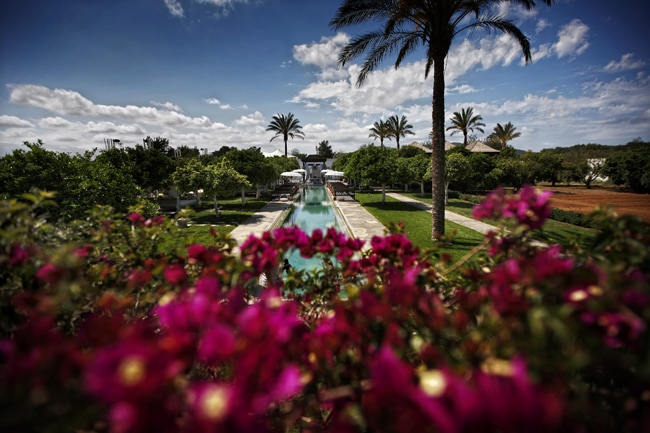 Brett_Harkness_ibiza Atzaro