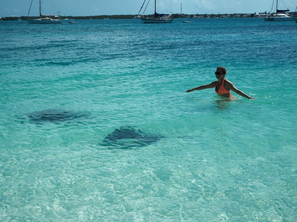 Stingrays in the Bahamas