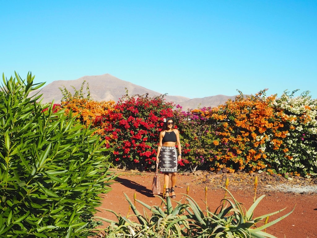 Thomas Cook The Style Traveller Accessorize monsoon