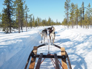 Dog Sledding Ice Hotel The Style Traveller