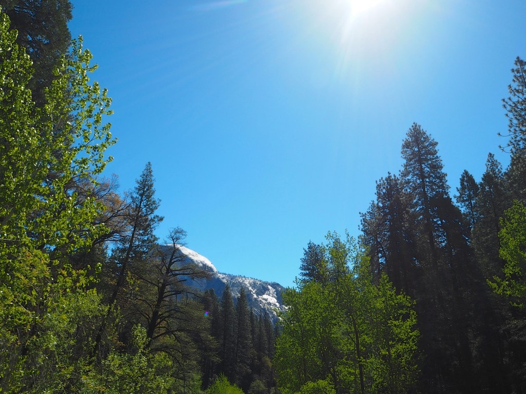 Farmhouse Inn Sonoma California road trip