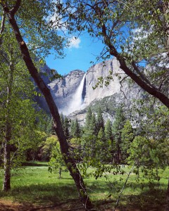 Yosemite-National-Park-California-Road-Trip