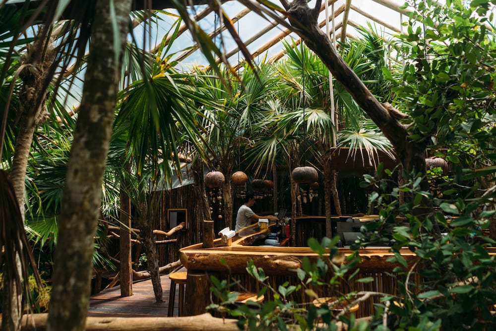 azulik-restaurant-spy