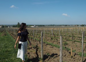 chateaux angelus bordeaux wine tour