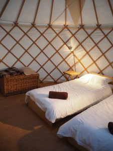 boutique camping wilderness yurt