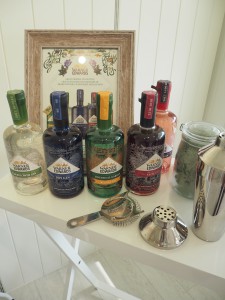 warner-edwards-gin-tasting-burghley