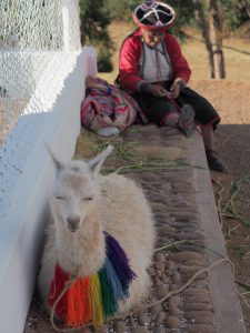 Belmond Monasterio best luxury hotels in Cusco Bonnie Rakhit Ladies in traditional Peruvian costume with Llama Alpaca