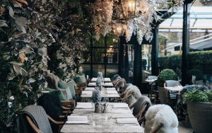 DallowayTerrace London's Top 5 Christmas Instagram locations