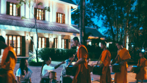 Alms giving ceremony to the buddhists luang prabang avani Laos