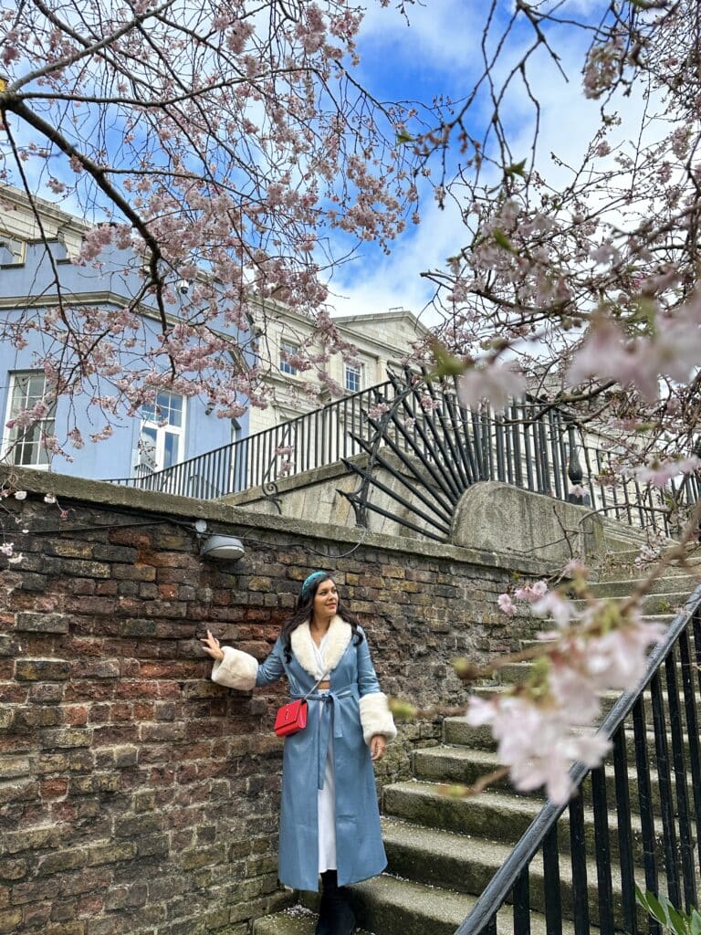 Dublin Castle blossom Ireland Bonnie Rakhit