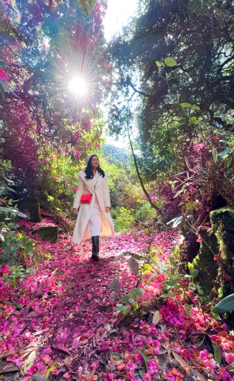 Bonnie Rakhit forest bathing shinrin yoku south lodge hotel sussex retreat